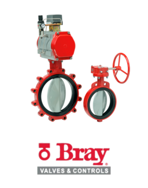 Bray Logo